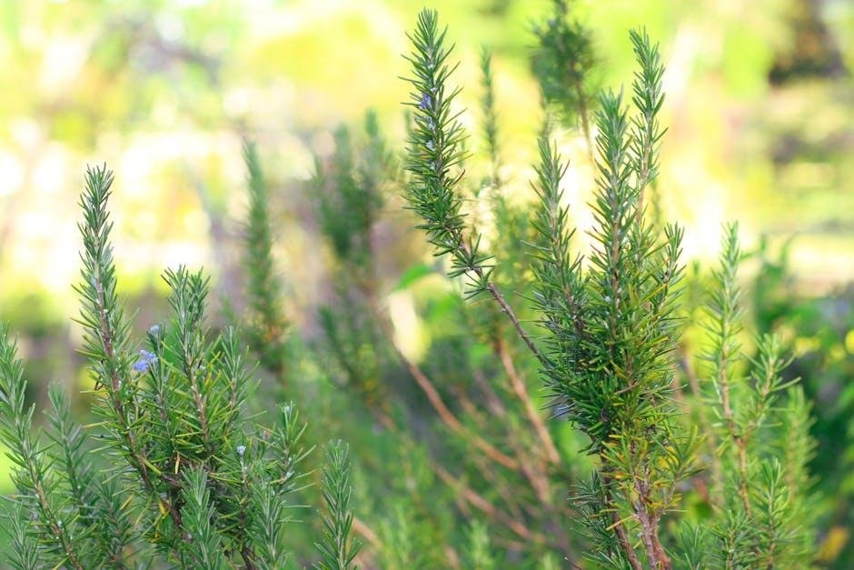 Exploring Culinary Landscapes: Iconic Dishes from Around the World