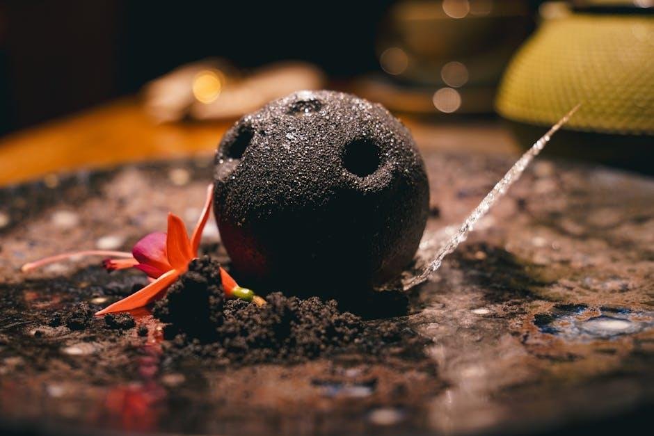 Discover the Culinary Innovations Behind the New Menu Offerings