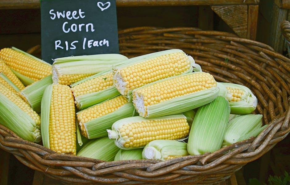 Veggie​ Power: Incorporating Seasonal Vegetables for⁣ Vibrant Dishes