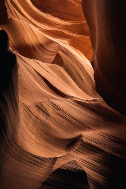 Unveiling the Hidden Gems: Must-Try Dishes That Shine