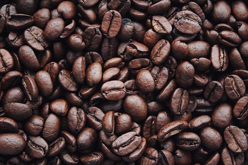 Caffeine Fix: Top Brews to Keep you Energized and Focused
